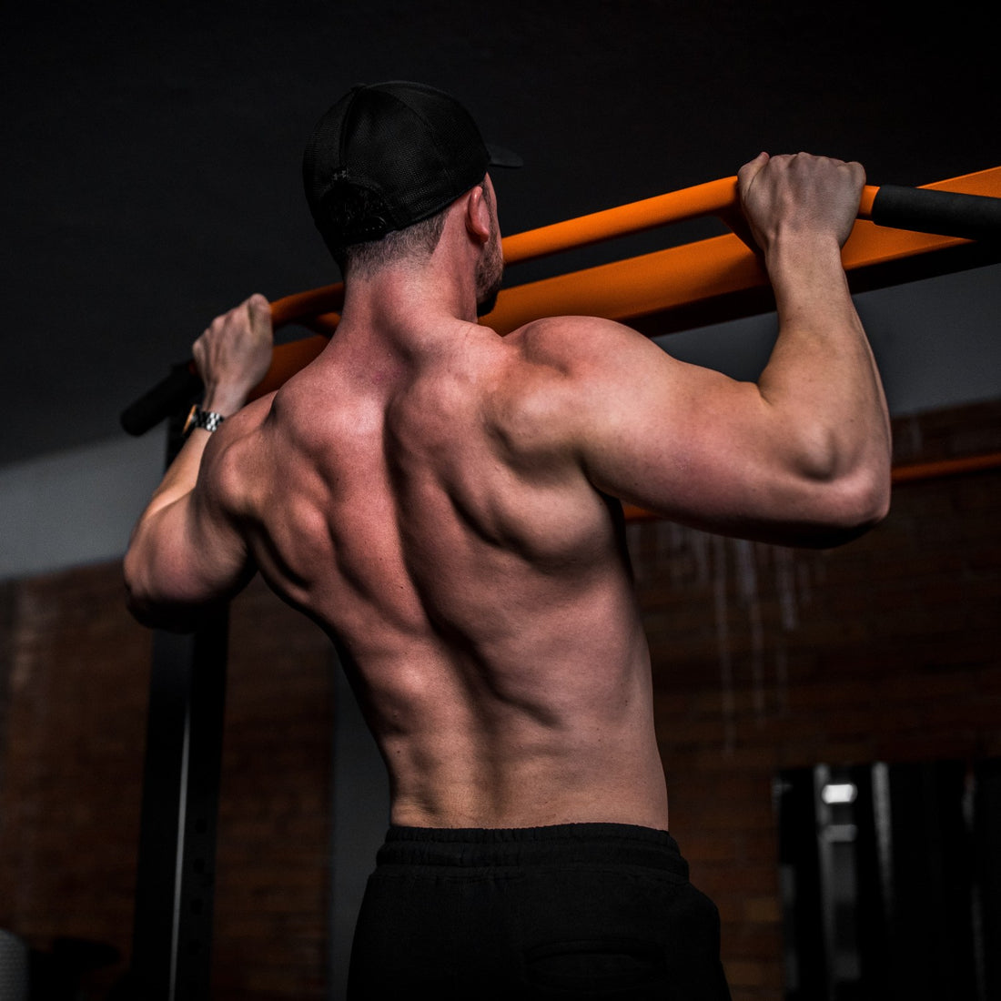 how often should you workout to gain muscle