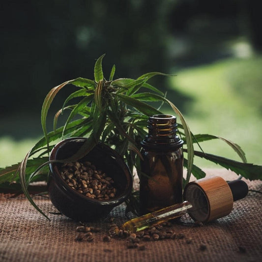 CBD or hemp oil image with all natural surroundings to live your best life